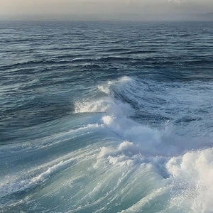 Meet your Posher, Sofia